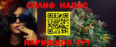 стаф Новодвинск