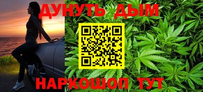 стаф Новодвинск