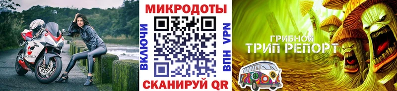 Псилоцибиновые грибы мицелий  kraken ONION  Новочеркасск 