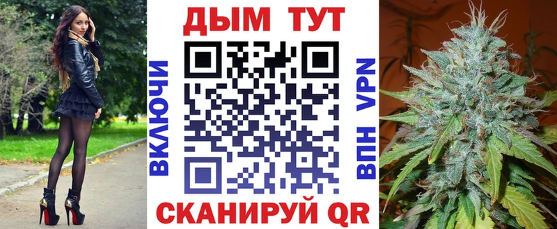Канабис сатива  Новочеркасск 